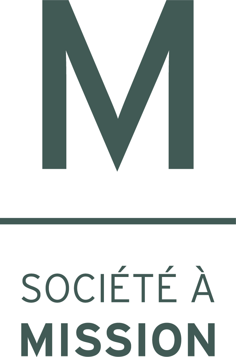 LOGO SOCIETE MISSION.png